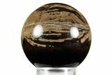 Polished Petrified Wood (Schinoxylon) Sphere - Wyoming #370892-1